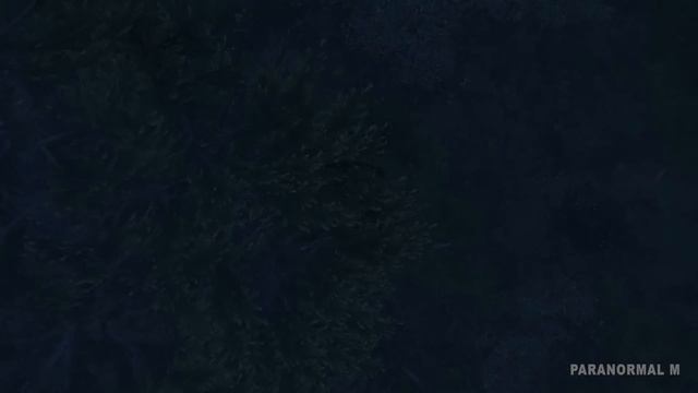 20 True Paranormal Stories | An Old Friend From Beyond | Paranormal M смотреть онлайн