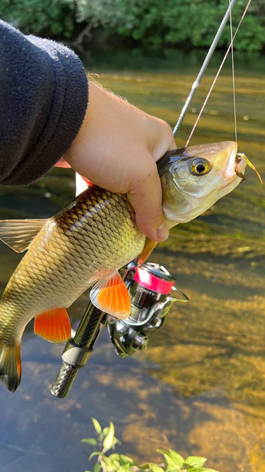 СЛОНЯРА 💪🐘 смотреть онлайн