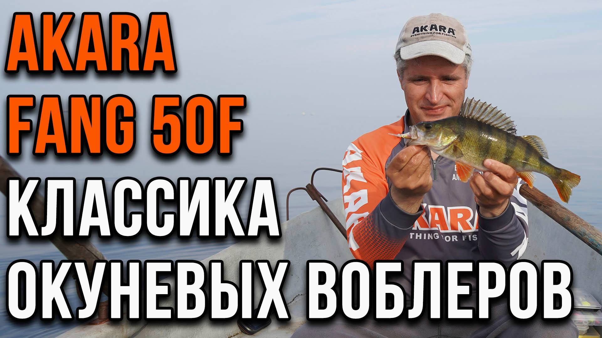 Классика окуневых воблеров. Akara Fang 50F смотреть онлайн