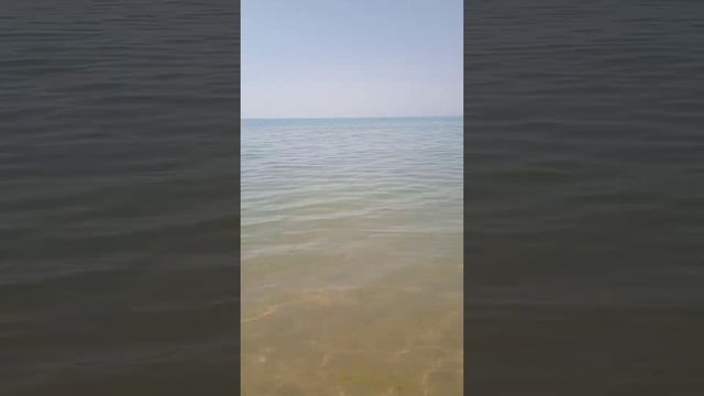 Черное море. Благовещенская. Недалеко от центрального пляжа станицы в тихом месте. 6 июля 2022 года смотреть онлайн