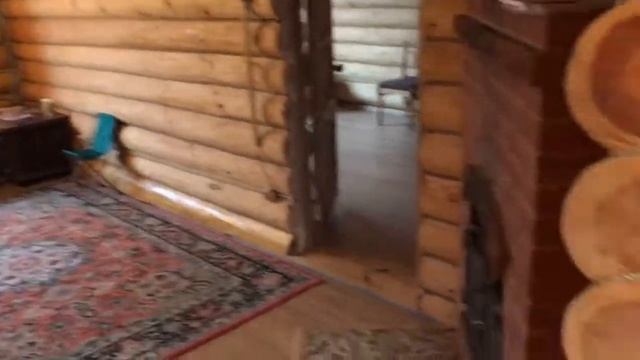 Капасиха, красная 14 смотреть онлайн