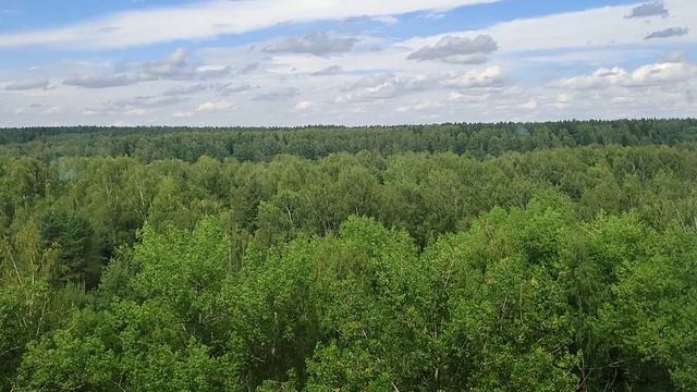 Лифт МЛЗ 1990-х годов | Ул. Парковая 20 смотреть онлайн
