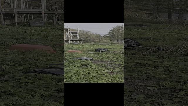 КАК РУССКИЙ ЯЗЫК ОБЪЕДИНЯЕТ !! смотреть онлайн