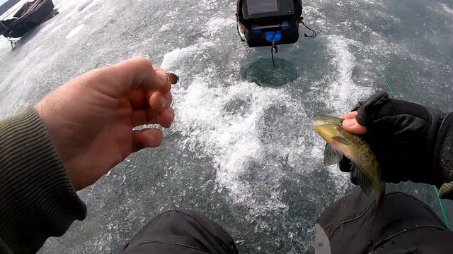 Last Ice, Big Panfish! | Fishing Late Ice for Hungry Wisconsin Panfish смотреть онлайн