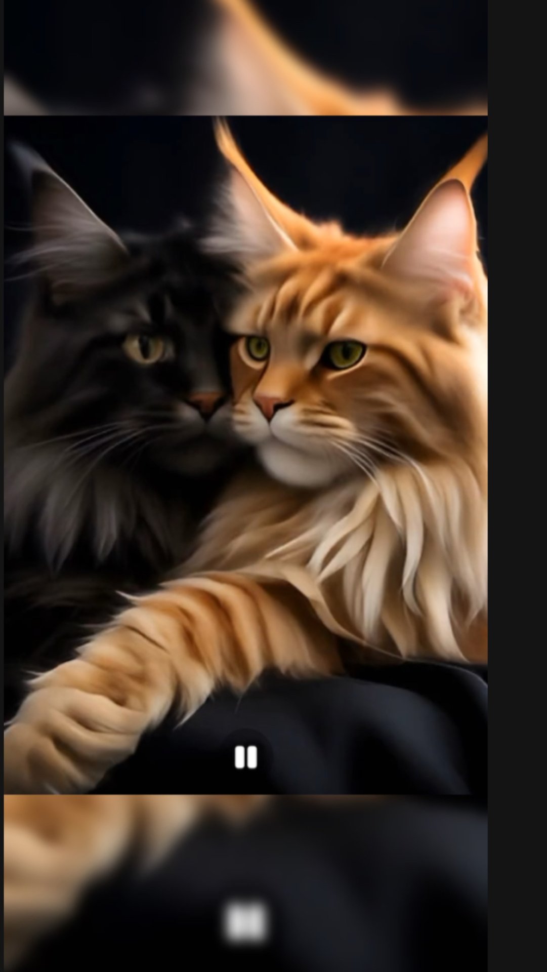 Котики one love смотреть онлайн