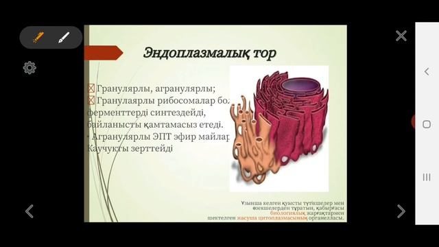 Жасушаның негізгі компоненттері.Жасушаның құрылымдары 9 сынып