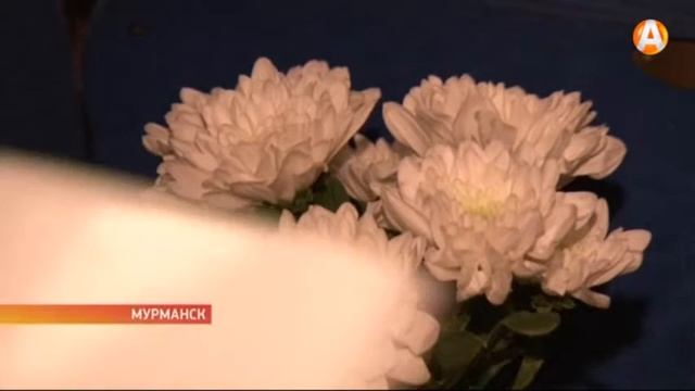 Мурманскому технологическому колледжу сервиса исполнилось 50 лет смотреть онлайн
