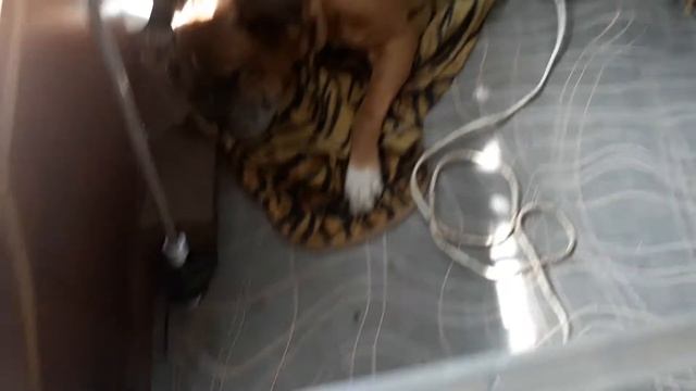 ВЛОГ Поставил дверь/Сломал стену/Не понятный день смотреть онлайн