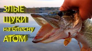 🔥 Рыбалка в 1988 и 2024 году. Сравним результат! ЩУКА на блесну АТОМ на Исаковском водохранилище 🔥