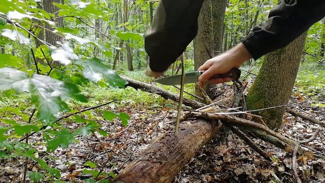 выход в лес, строю полевую кухню,бушкрафт смотреть онлайн