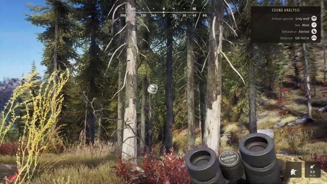 Ranger vs Hunter difficulty ramble Hunt - Happy Sunday - Way of the Hunter смотреть онлайн