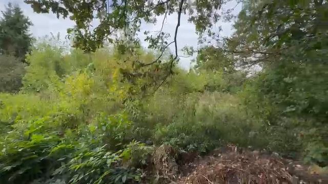 зу :900 Солнечногорск смотреть онлайн