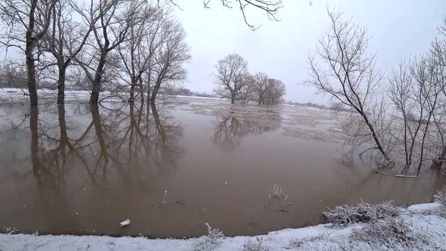 2024.Реки Вышли ИЗ БЕРЕГОВ.Отключили воду.#казахстан #youtube #караганда # Ваш НЕЗНАКОМЕЦ смотреть онлайн