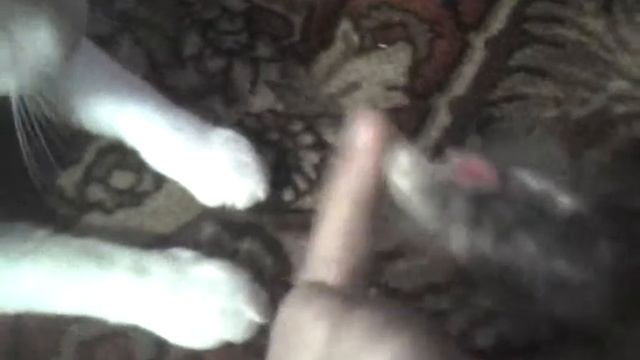 ИЗВРАЩУГА!!! смотреть онлайн