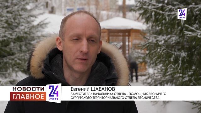 ЧТО НАМ СТОИТ ДОМ ПОСТРОИТЬ? смотреть онлайн
