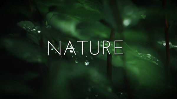 Nature