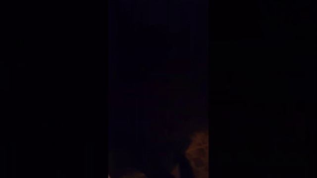 Товарищи, не допускайте таких ошибок! Случайно не захлопнул дверь и собаки оказались в корридоре. смотреть онлайн