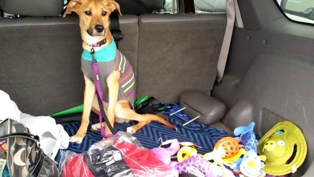 Мусорщик как обычно с утра проверял контейнеры. И в одном из них он нашел невообразимое... смотреть онлайн