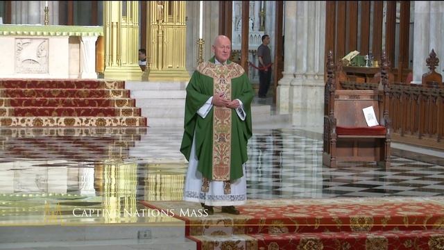 Sunday Mass - July 14th 2019 смотреть онлайн