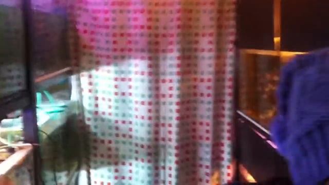 Купить рыбки Ковель смотреть онлайн