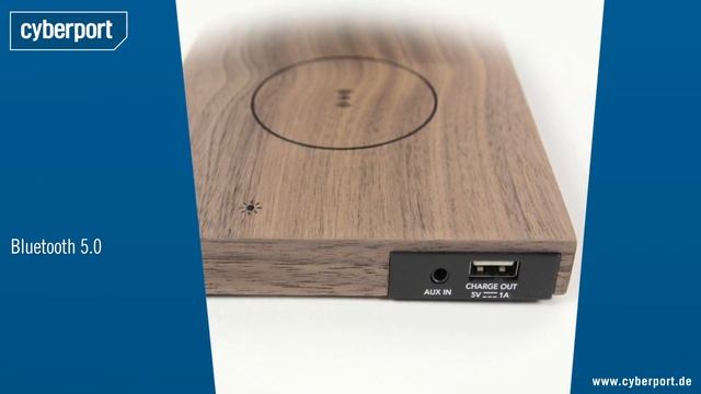 Tivoli Audio Revive Bluetooth-Lautsprecher Shortcut | Cyberport