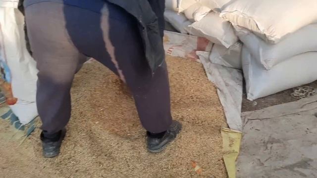 ЖУМА МОЛ БОЗОРИ ‼️#молбозор #juma Molbozor#янгиликлар