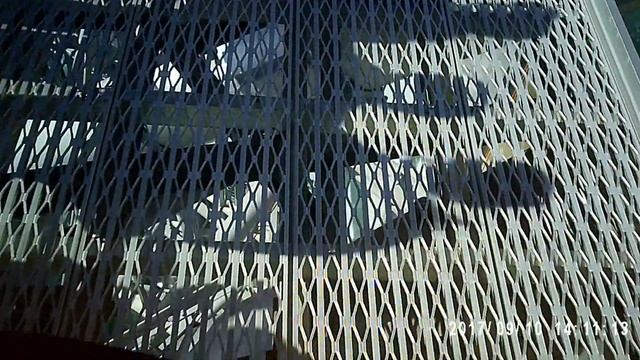 Q1 Skypoint Climb 10th September 2017 At 1:20pm