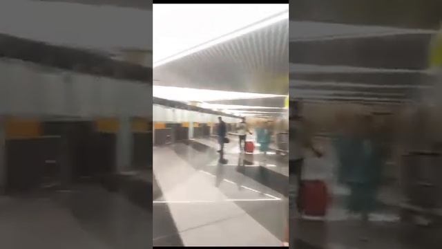 Гросс Алексей Эдуардович - видео-отзыв о работе миграционного юриста смотреть онлайн