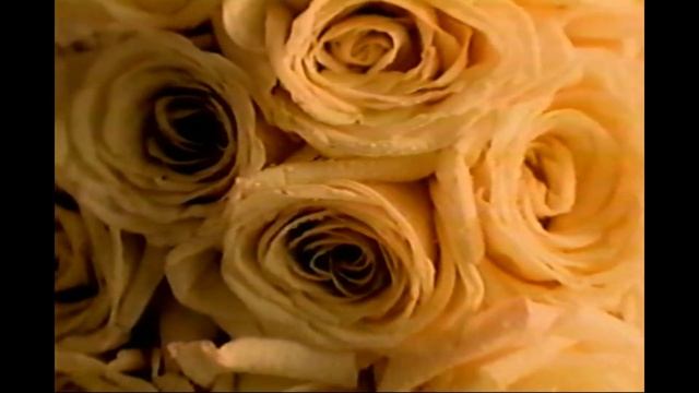 Pub Québec - Lancôme - Trésor смотреть онлайн