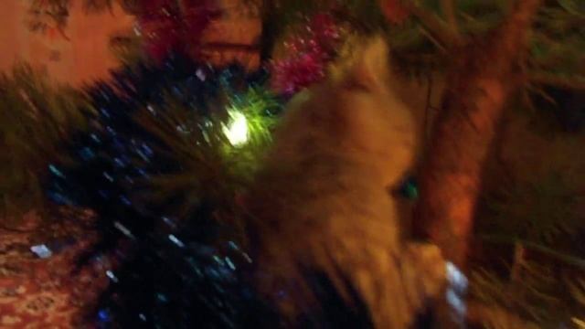 Сэм и ёлка смотреть онлайн