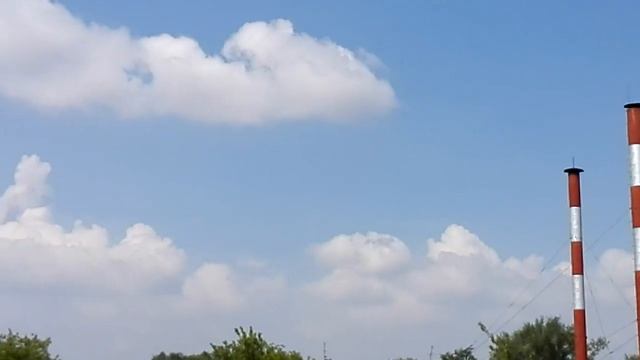 Полет стрижей/ The flight of Swifts смотреть онлайн