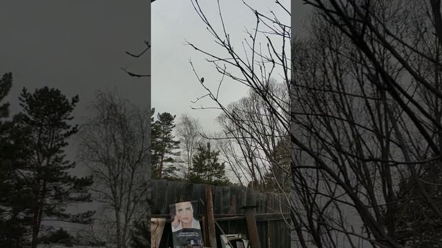 весна #ангарск смотреть онлайн