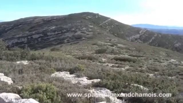 BECEITE IBEX TIM смотреть онлайн