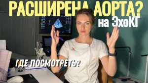 Расширена аорта на ЭхоКГ. Где посмотреть? УЗИ сердца
