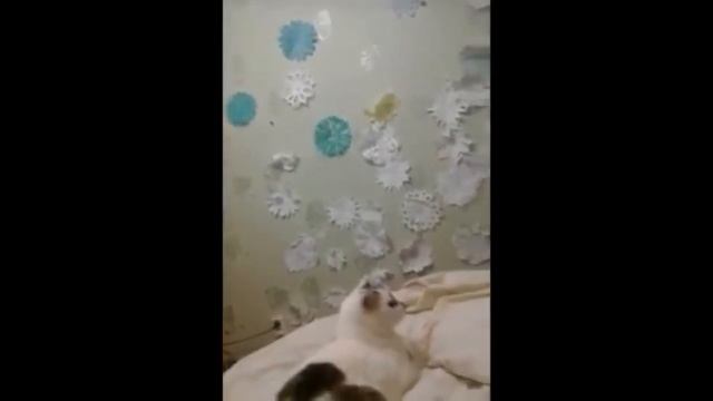 Что делать если надоела назойливая муха смотреть онлайн