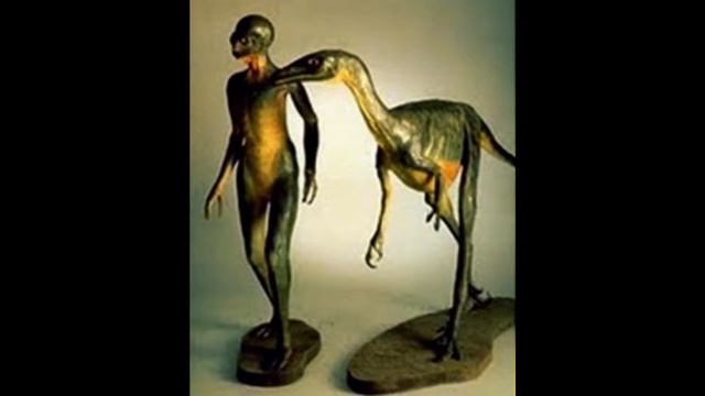 Sounds of the entity - Troodon смотреть онлайн