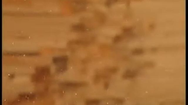 Производство клееный брус АгроПромСервис смотреть онлайн
