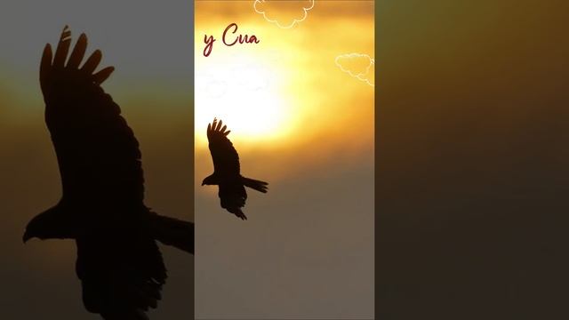 Only a Woman - Enrique Iglesias смотреть онлайн
