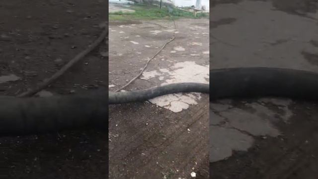 Выгрузка комбикорма из бочки смотреть онлайн