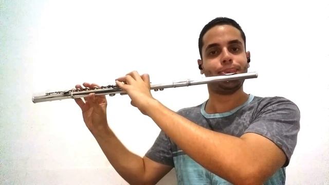 PERFECT - ED SHEERAN | COVER FLAUTA TRANSVERSAL