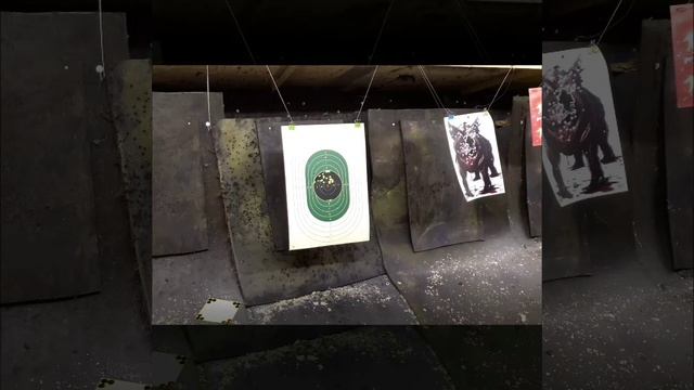 CZ P-09 Schusstest 7,15,20 Meter смотреть онлайн