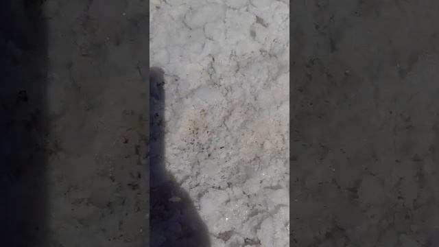 Сивашская соль ...Херсонщина... смотреть онлайн