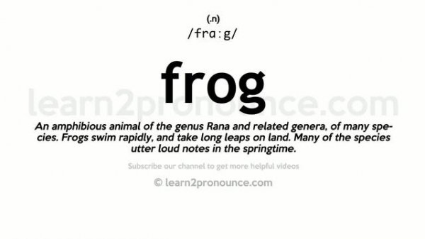 Pronunciation of Frog | Definition of Frog