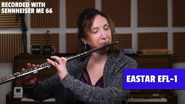 Flute Expert explains why a $70 AMAZON flute is good and isn't смотреть онлайн