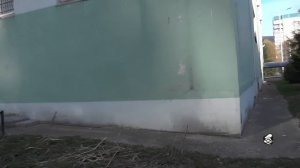 ПРИНЕСЛИ В МЕНТОВКУ ДЕТСКУЮ ПРОСРОЧКУ ИЗ МАГАЗИНА "ВЕРНЫЙ"!