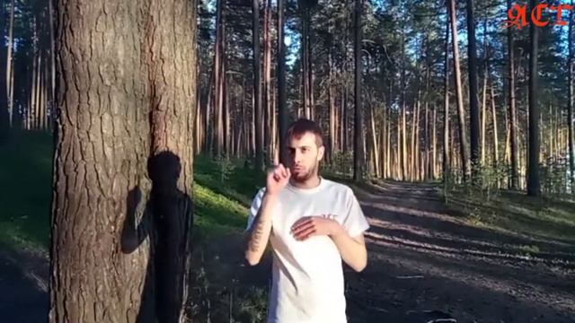Турслет "Медведь" 2017 смотреть онлайн