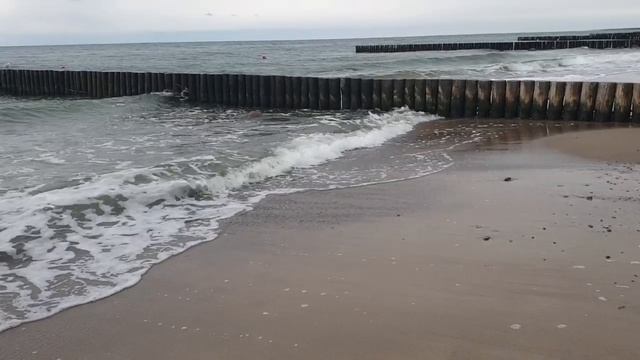 🔥УРА! МОЙ ПЕРВЫЙ ДЕНЬ В САНАТОРИИ "ЗЕЛЕНОГРАДСК"! ⛱️🌊 ВСЕ ВАМ РАССКАЖУ И ПОКАЖУ🔥🍁💯 смотреть онлайн