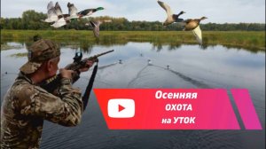 Осенняя охота на уток 2024. Выпуск №2