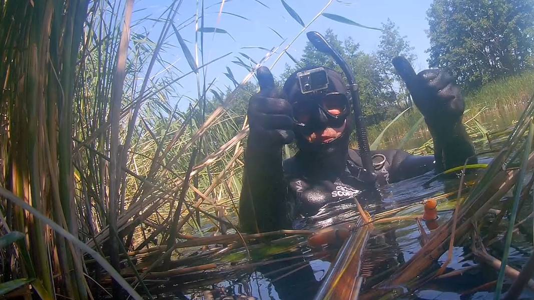 Подводная охота в зарослях малых рек с арбалетом смотреть онлайн