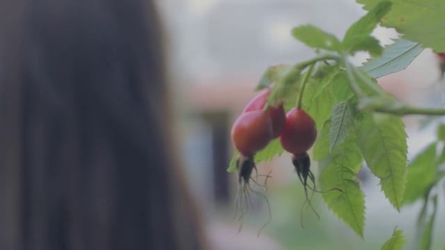 LOVE STORY - Andrei & Anna - Grodno смотреть онлайн